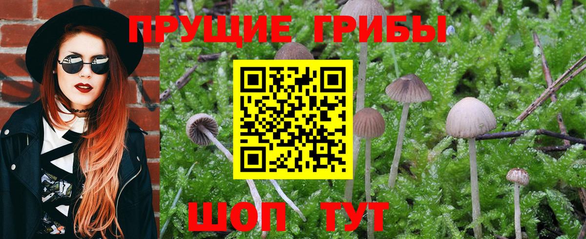 Галлюциногенные грибы MAGIC MUSHROOMS Ухта