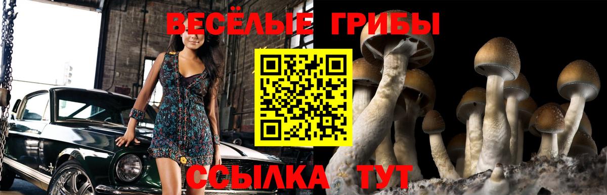 Ухта  Галлюциногенные грибы прущие грибы  Вход с VPN  Галлюциногенные грибы Psilocybe 